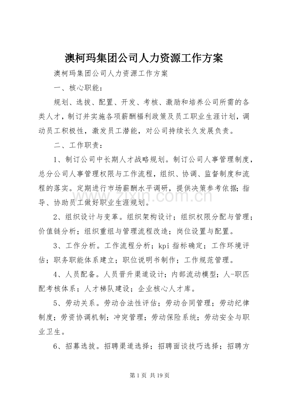 澳柯玛集团公司人力资源工作实施方案.docx_第1页