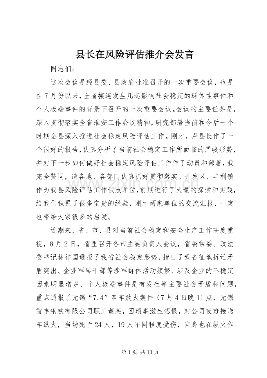 县长在风险评估推介会发言稿.docx_第1页