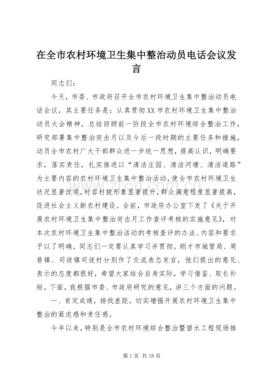 在全市农村环境卫生集中整治动员电话会议发言.docx_第1页