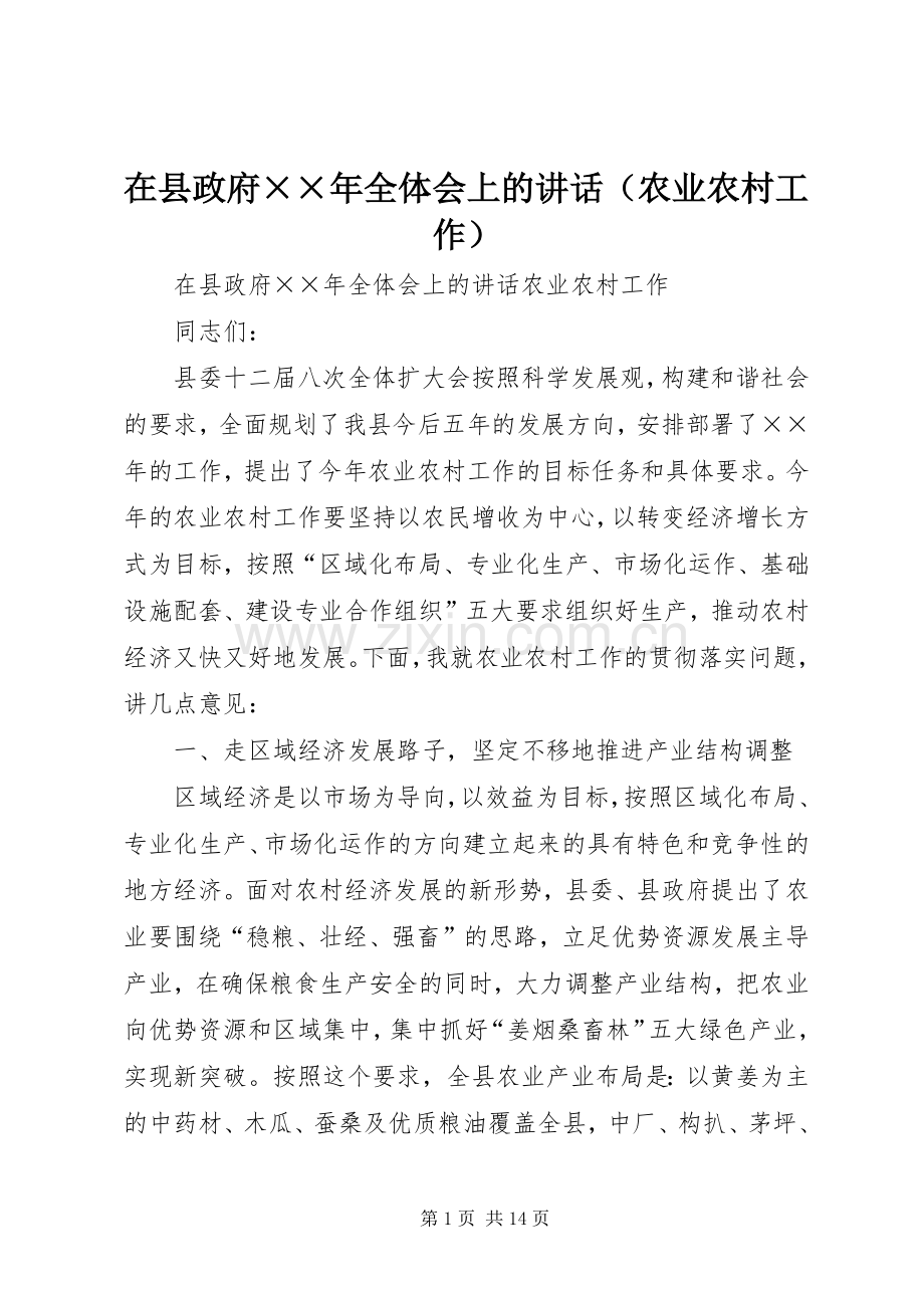 在县政府××年全体会上的讲话（农业农村工作）.docx_第1页