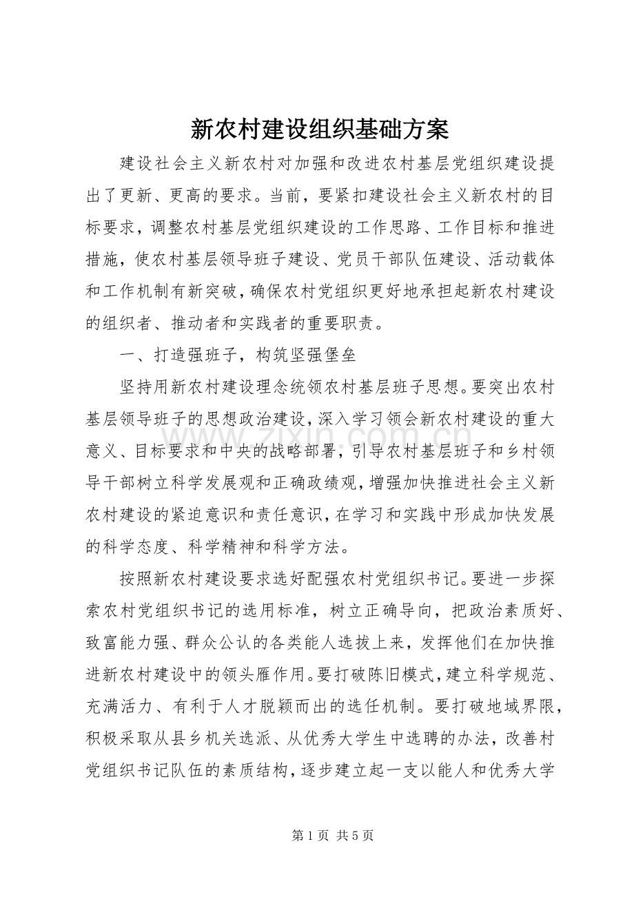 新农村建设组织基础实施方案.docx_第1页