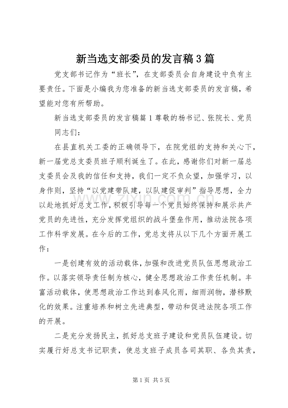 新当选支部委员的发言稿3篇.docx_第1页