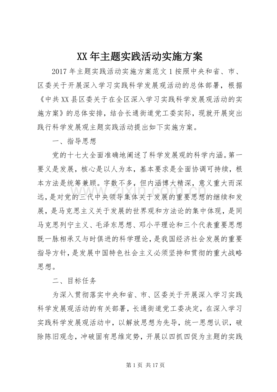 XX年主题实践活动方案.docx_第1页