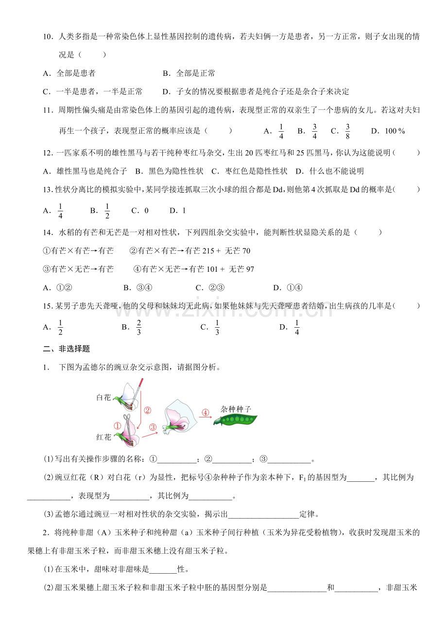 高中生物必修2第一章测试题.docx_第2页