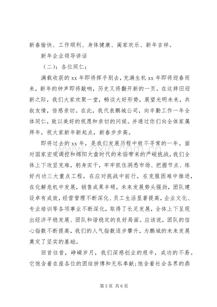 新年企业领导讲话.docx_第3页