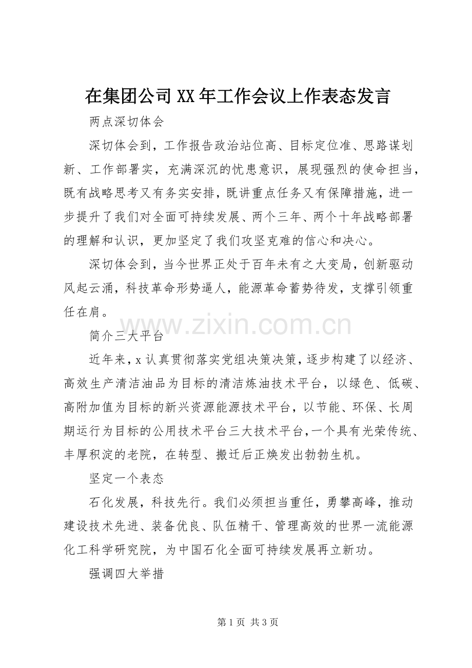 在集团公司XX年工作会议上作表态发言.docx_第1页