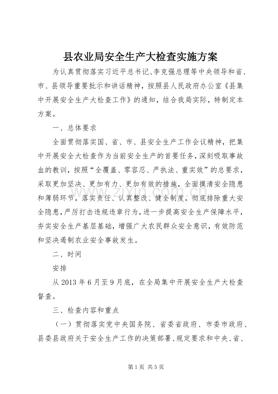 县农业局安全生产大检查方案.docx_第1页