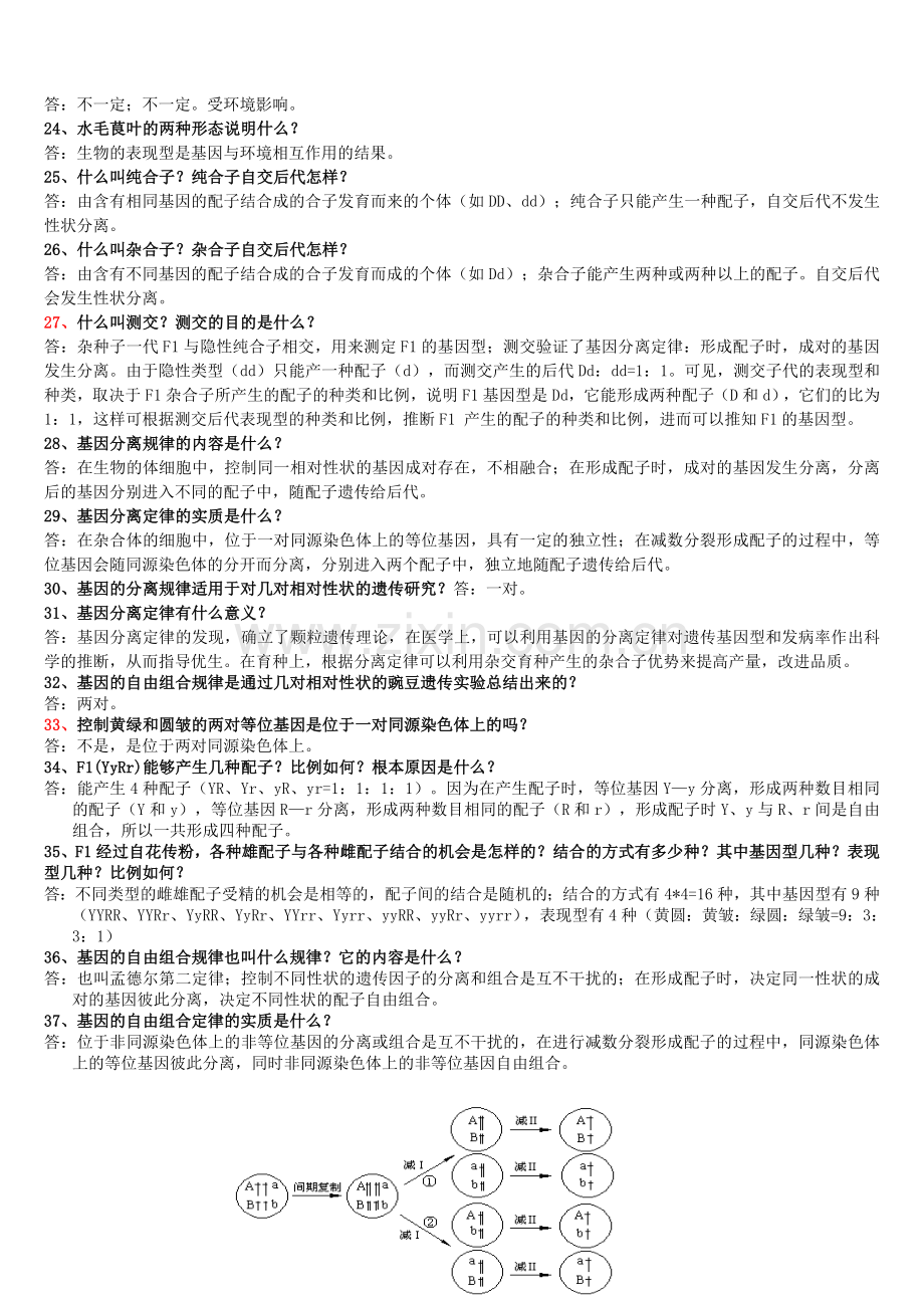 生物（必修二）复习基础知识自检题.doc_第2页