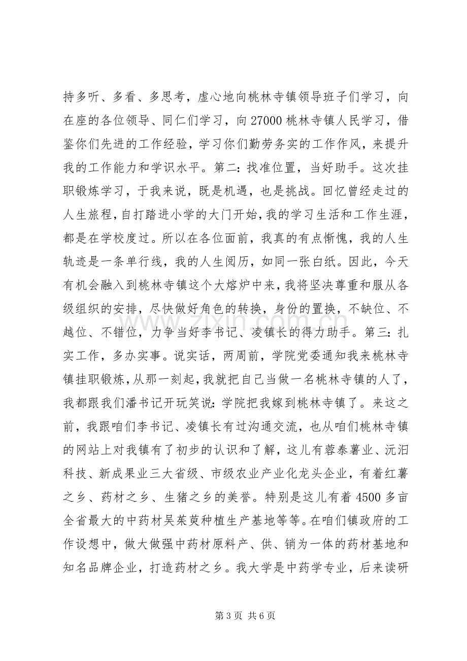 挂职锻炼发言.docx_第3页