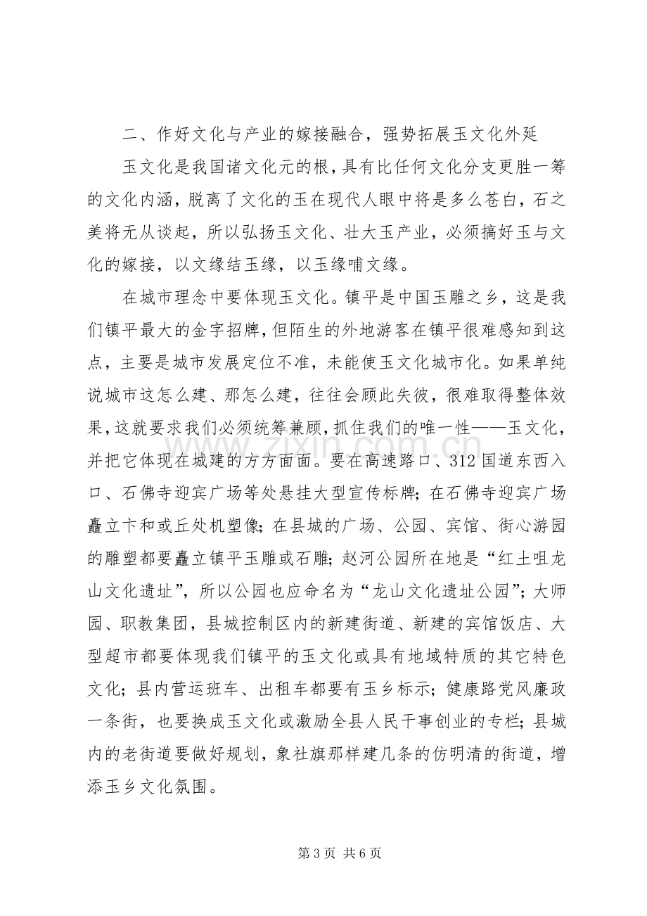 在政协常委会上的发言.docx_第3页