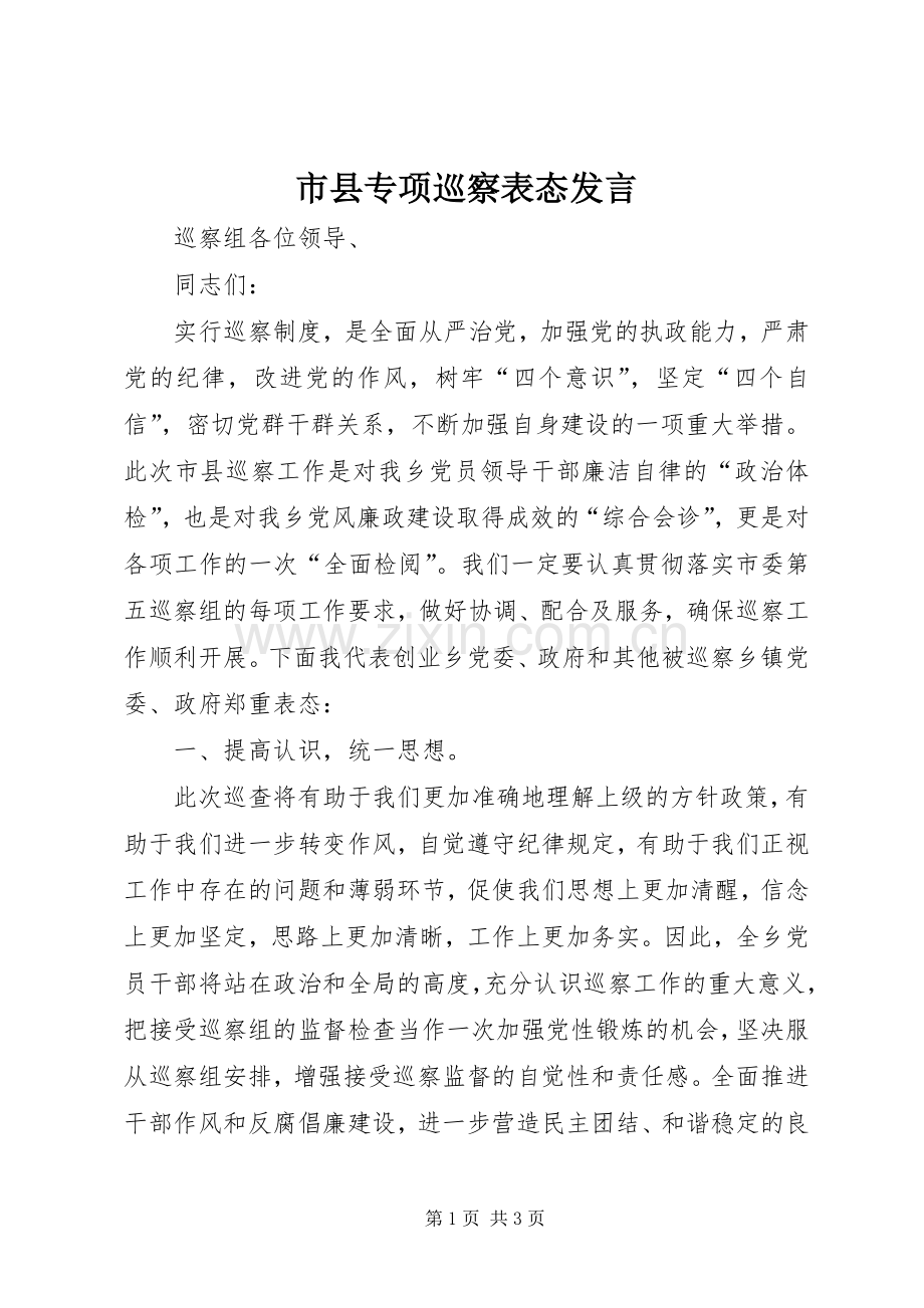 市县专项巡察表态发言稿.docx_第1页