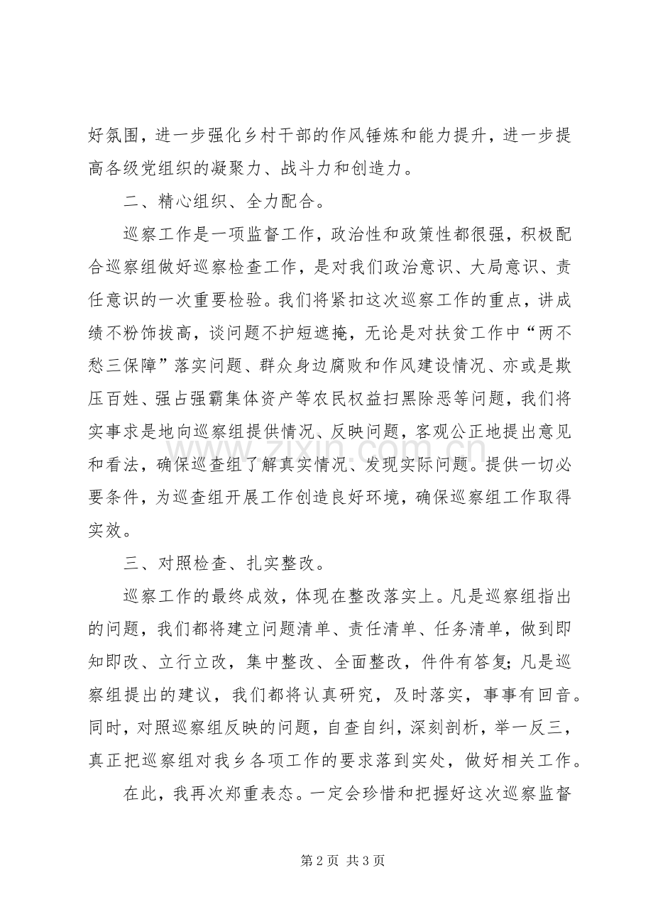 市县专项巡察表态发言稿.docx_第2页