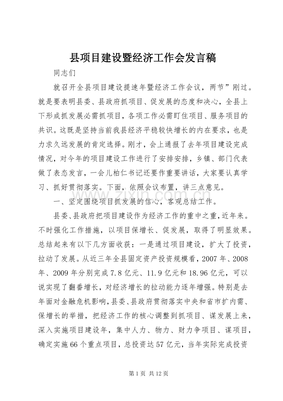 县项目建设暨经济工作会发言稿.docx_第1页