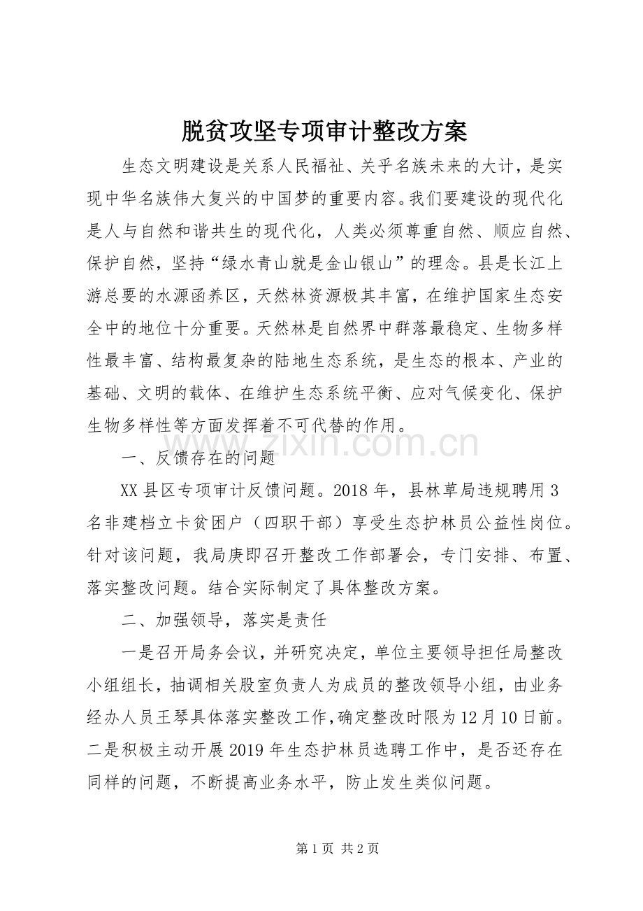 脱贫攻坚专项审计整改实施方案.docx_第1页