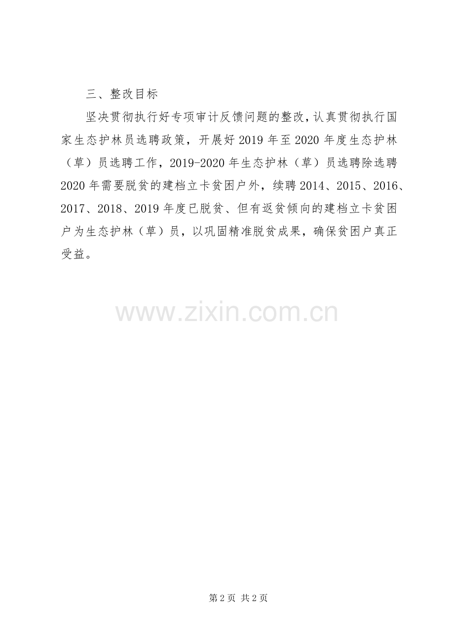 脱贫攻坚专项审计整改实施方案.docx_第2页