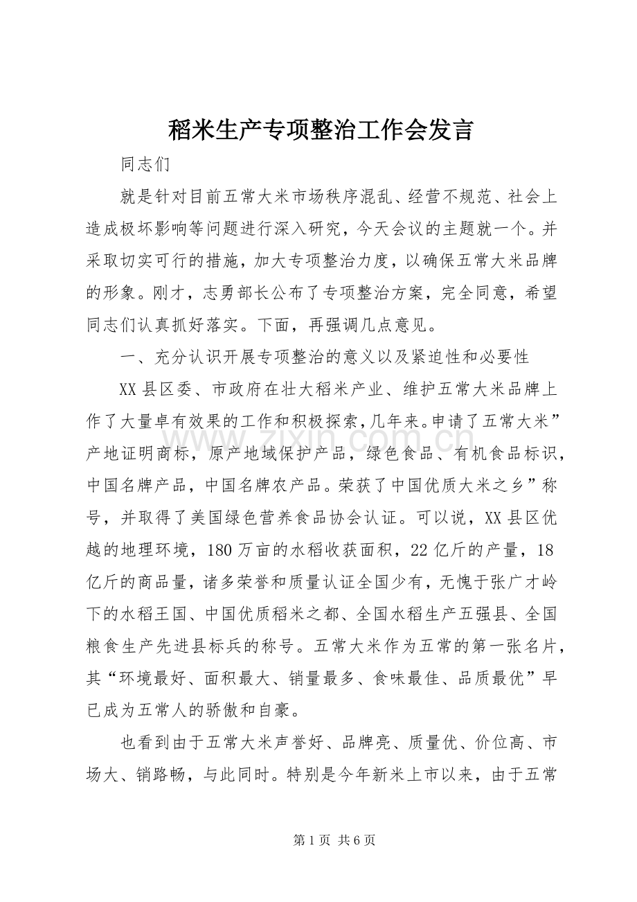 稻米生产专项整治工作会发言稿.docx_第1页