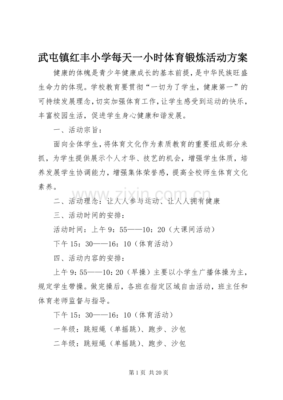 武屯镇红丰小学每天一小时体育锻炼活动实施方案.docx_第1页