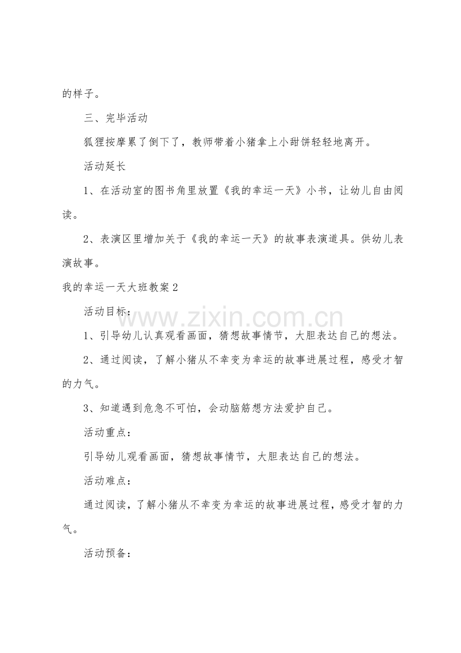 我的幸运一天大班教案1.doc_第3页