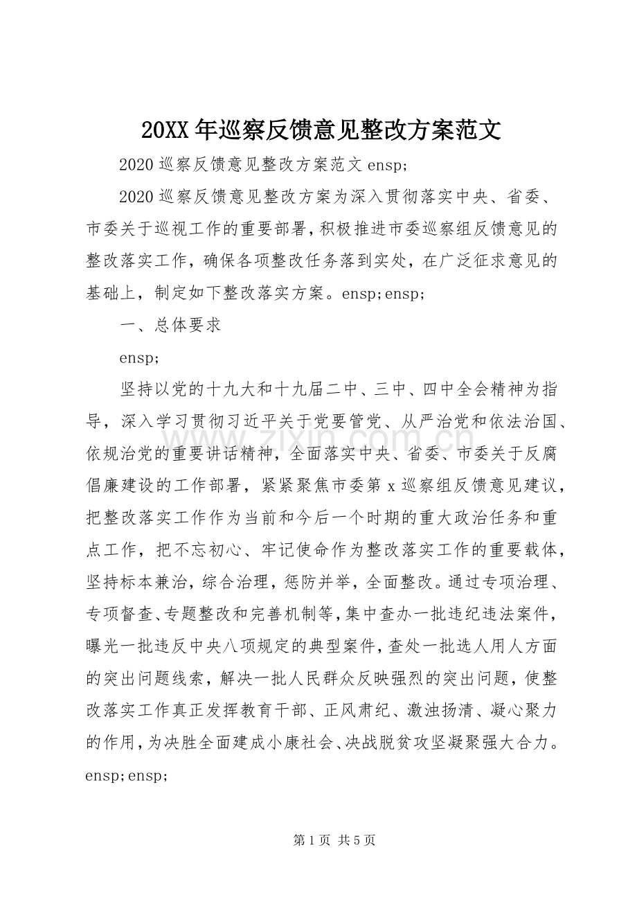 XX年巡察反馈意见整改实施方案范文.docx_第1页