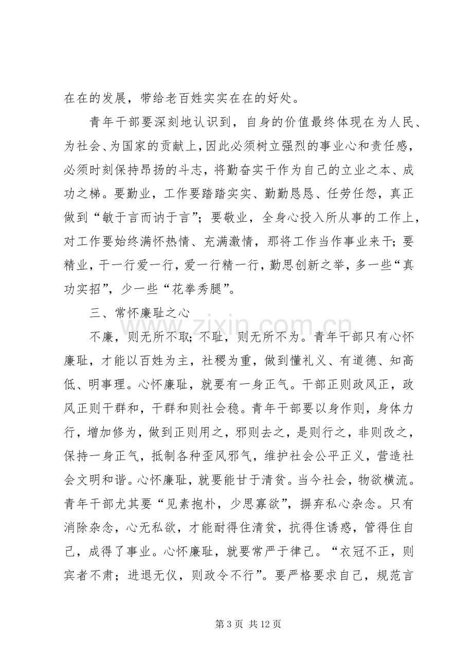 区长在青年干部培训会发言.docx_第3页