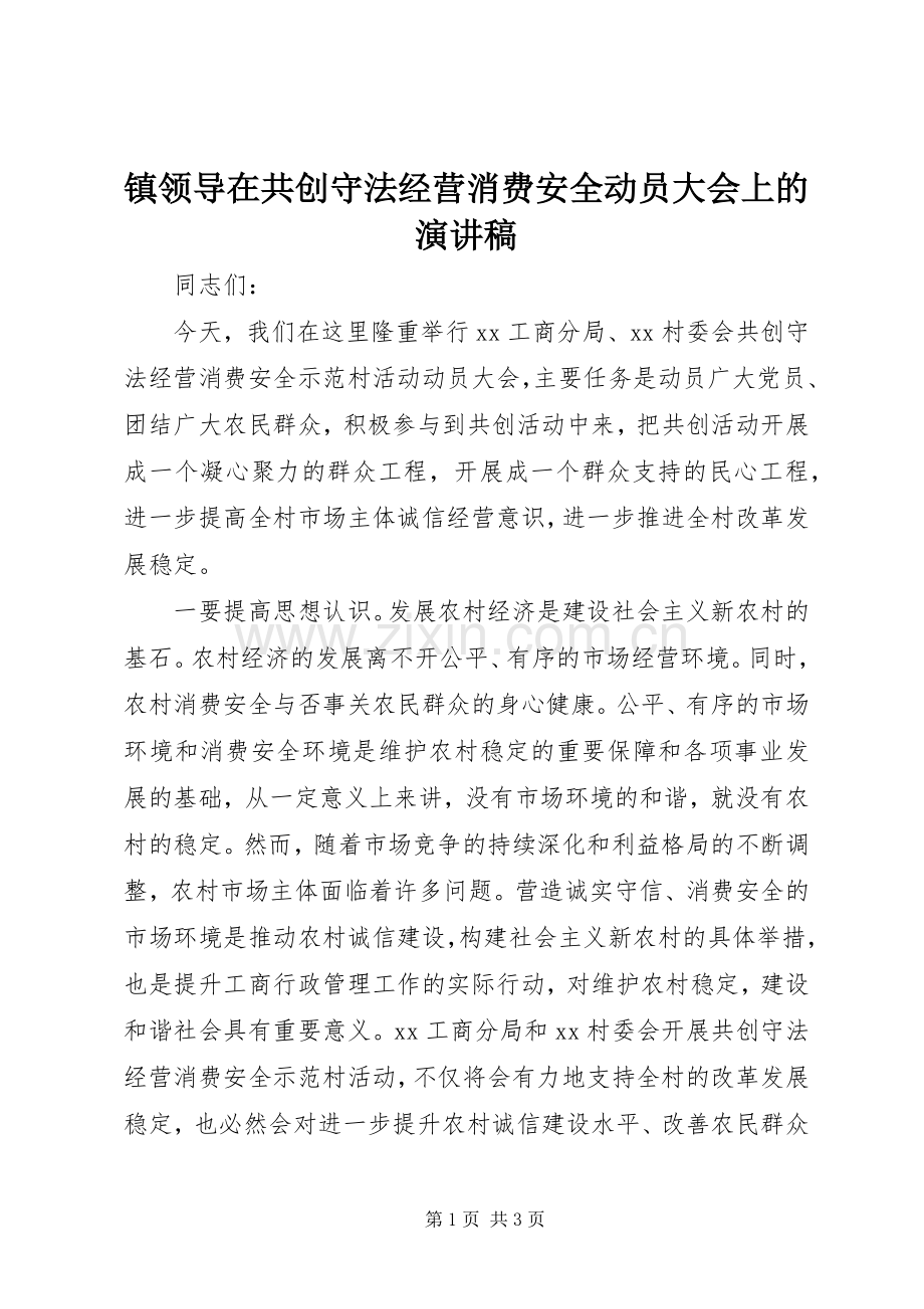 镇领导在共创守法经营消费安全动员大会上的演讲稿.docx_第1页