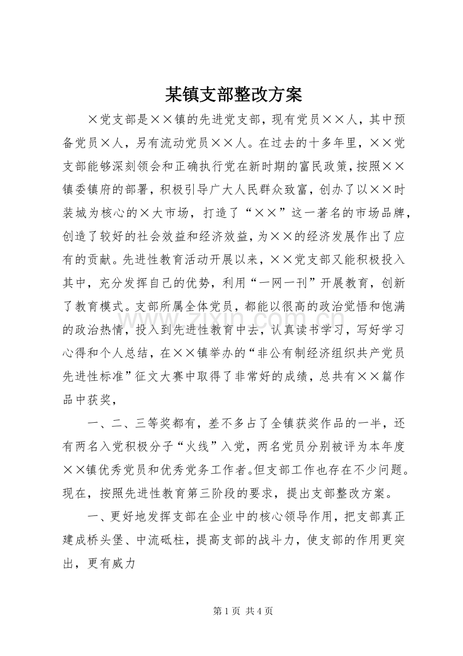 某镇支部整改实施方案.docx_第1页