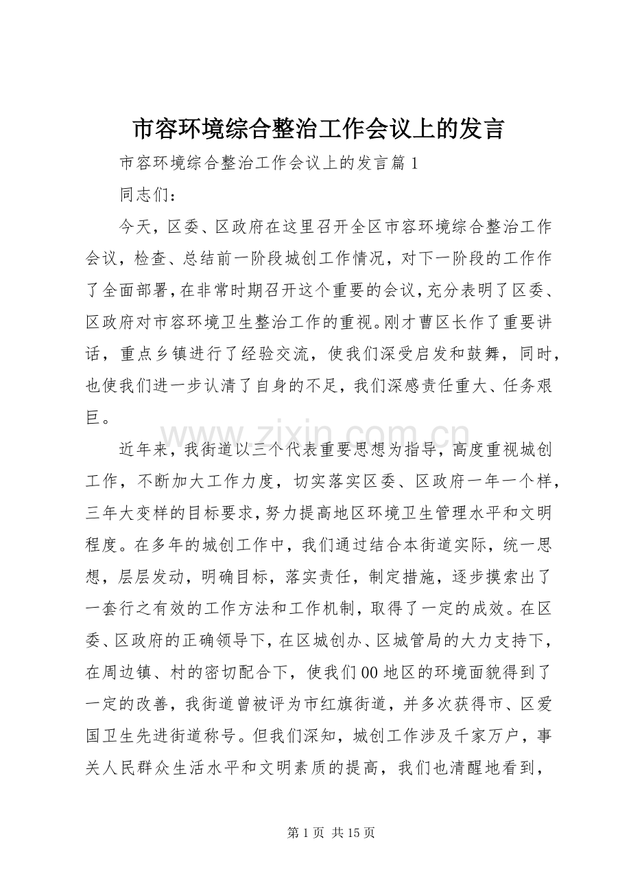 市容环境综合整治工作会议上的发言.docx_第1页