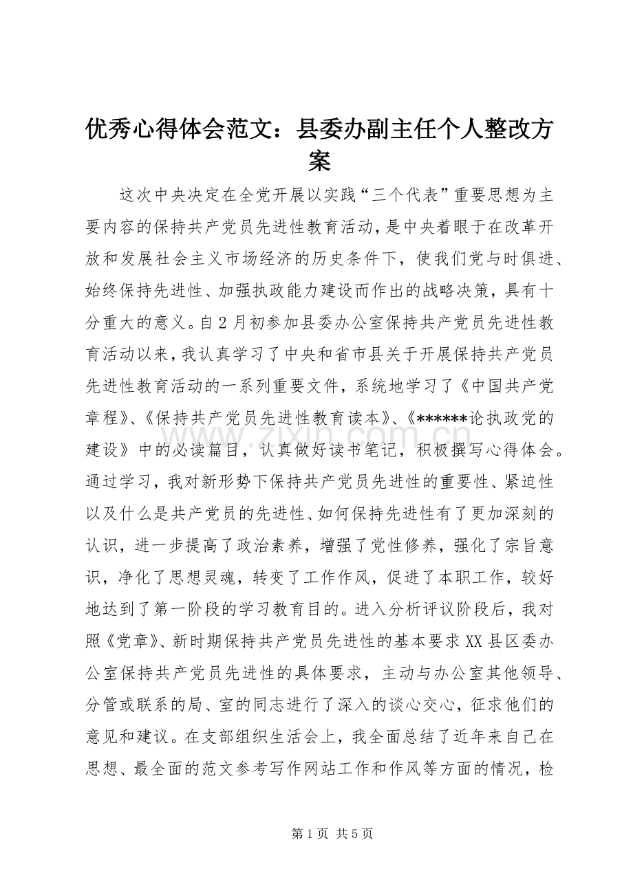 优秀心得体会范文：县委办副主任个人整改实施方案.docx_第1页