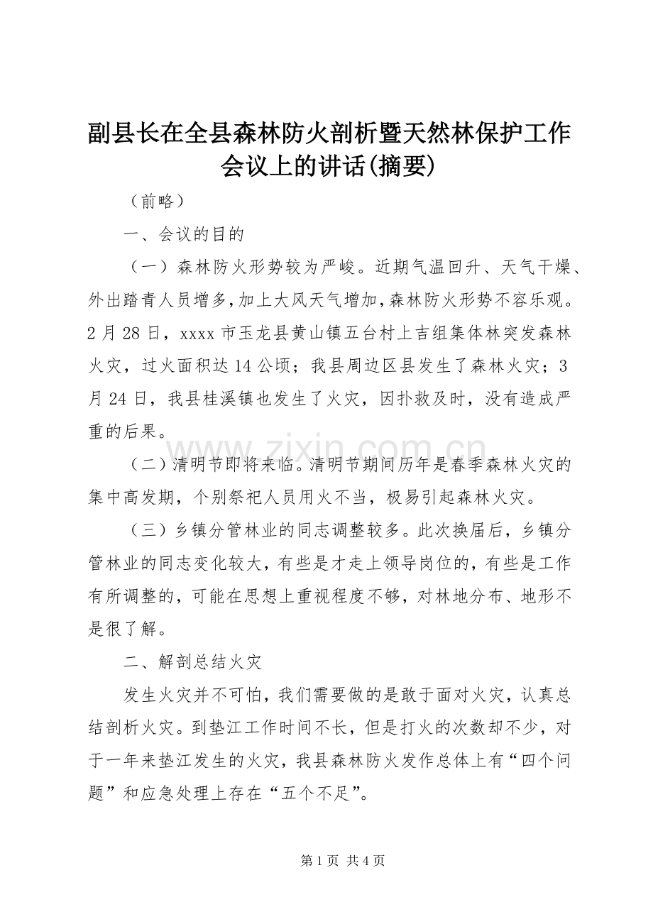 副县长在全县森林防火剖析暨天然林保护工作会议上的讲话(摘要).docx_第1页