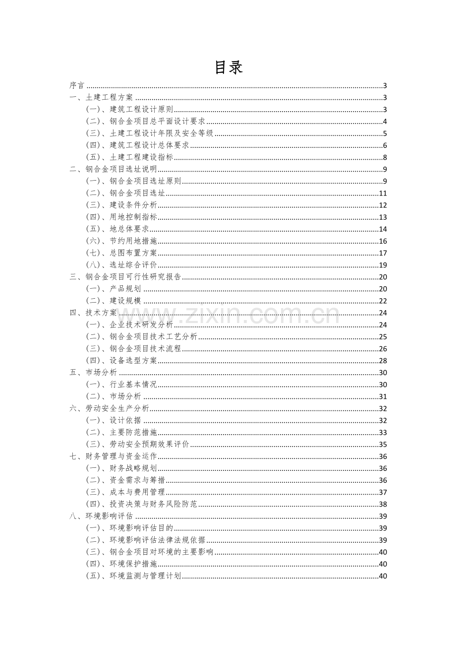 钢合金项目可行性研究报告.docx_第2页