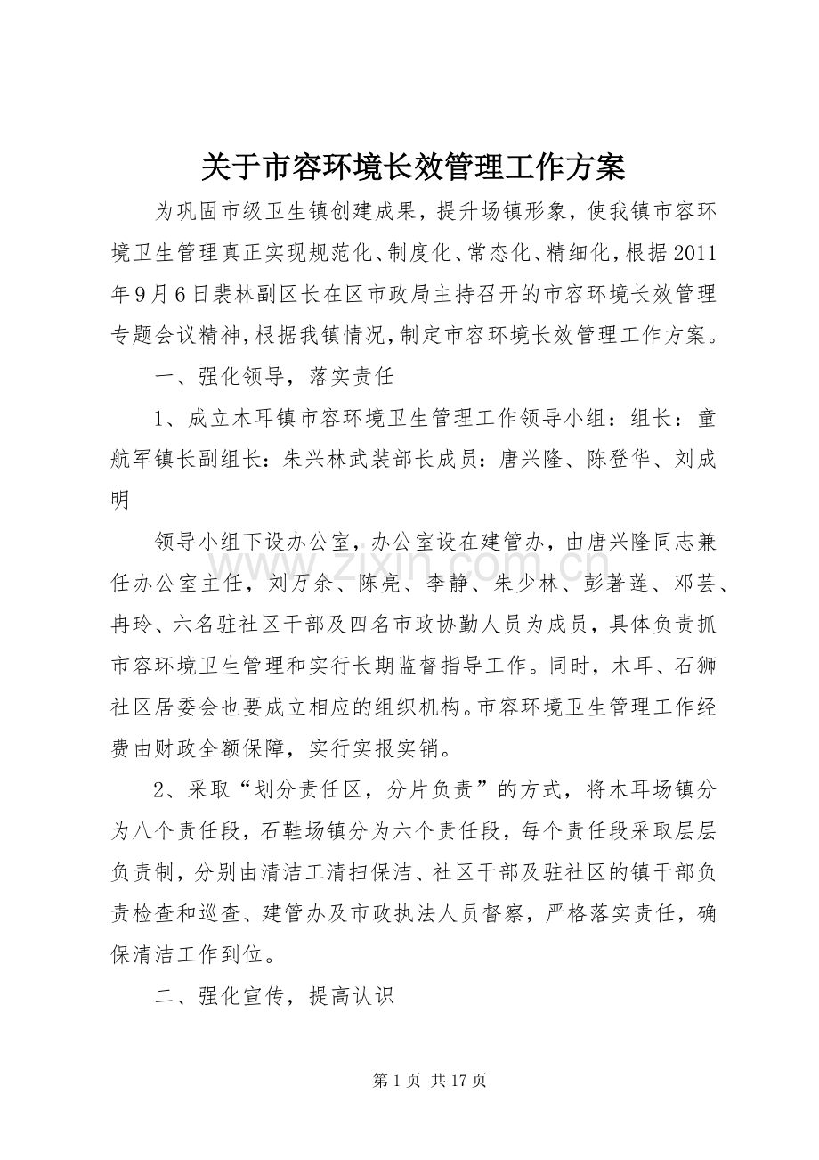 关于市容环境长效管理工作实施方案.docx_第1页