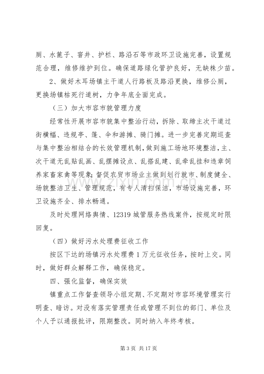 关于市容环境长效管理工作实施方案.docx_第3页