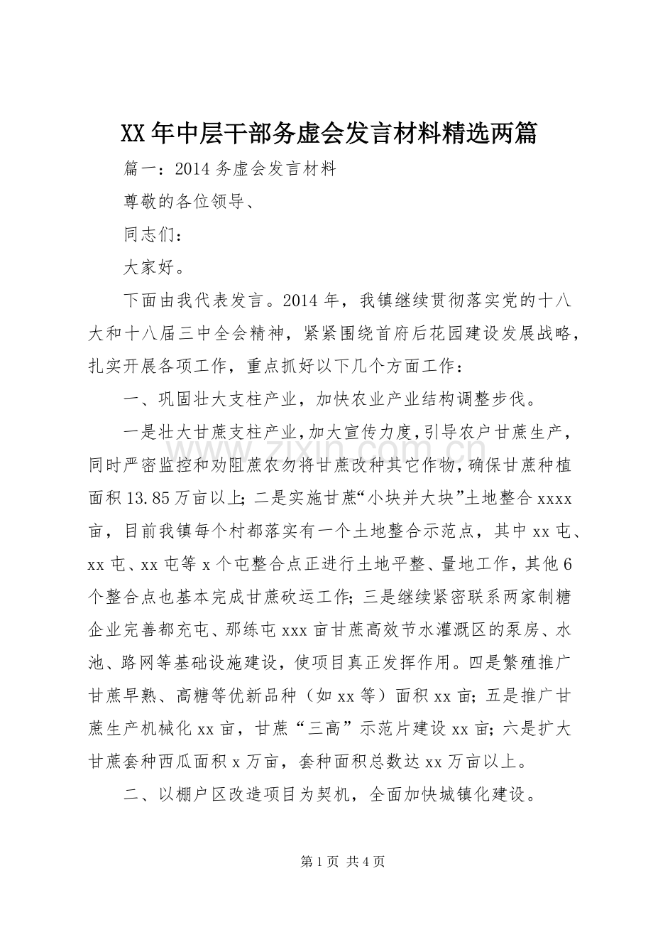 XX年中层干部务虚会发言材料提纲两篇.docx_第1页