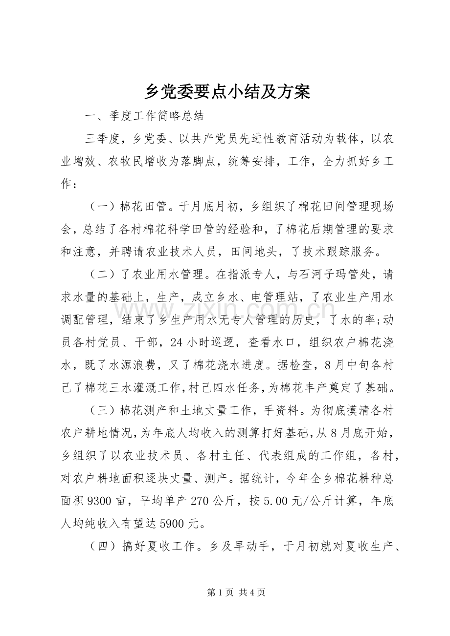 乡党委要点小结及实施方案.docx_第1页