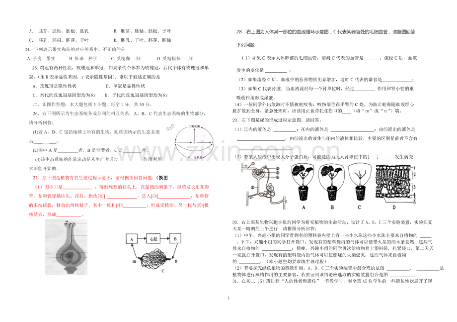 2013初二生物模拟试卷.doc_第3页