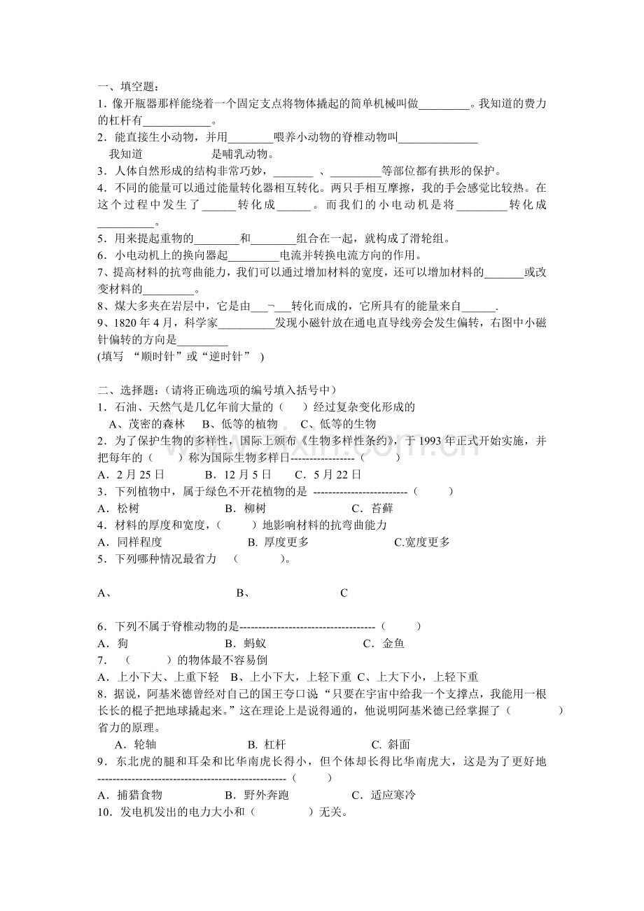 科学上册期末试卷.doc_第1页