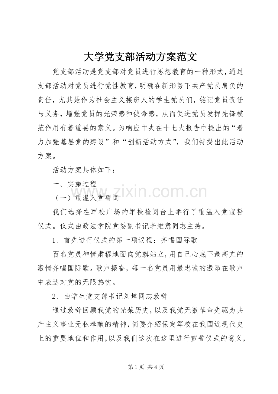 大学党支部活动实施方案范文.docx_第1页