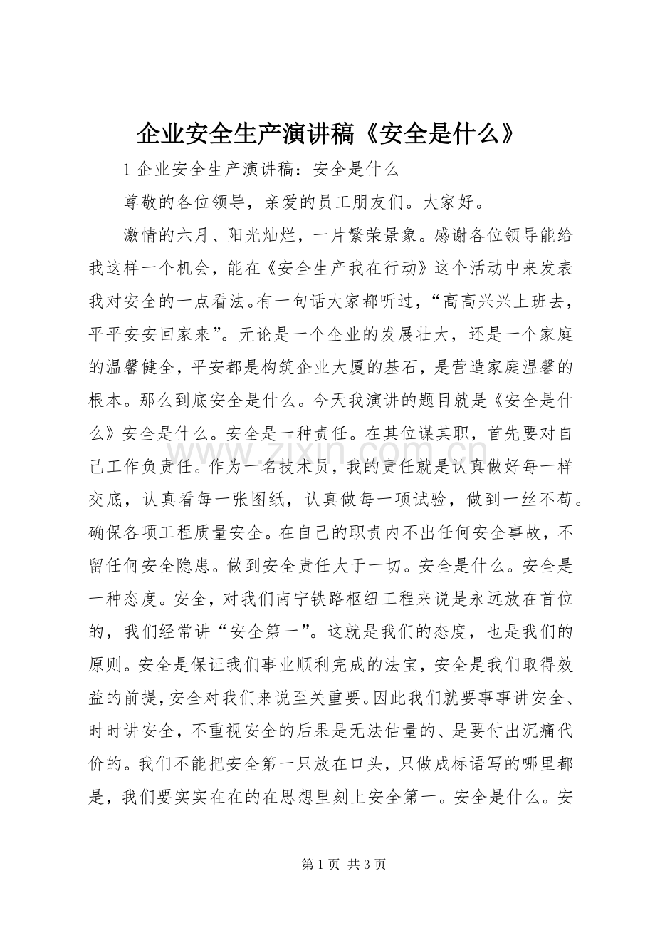 企业安全生产演讲稿《安全是什么》.docx_第1页