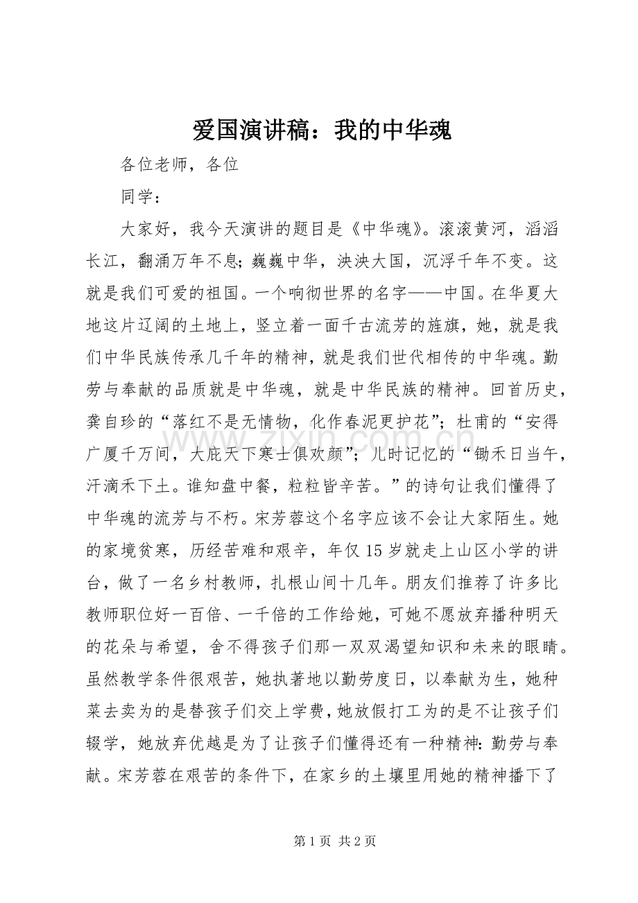 爱国演讲稿：我的中华魂.docx_第1页