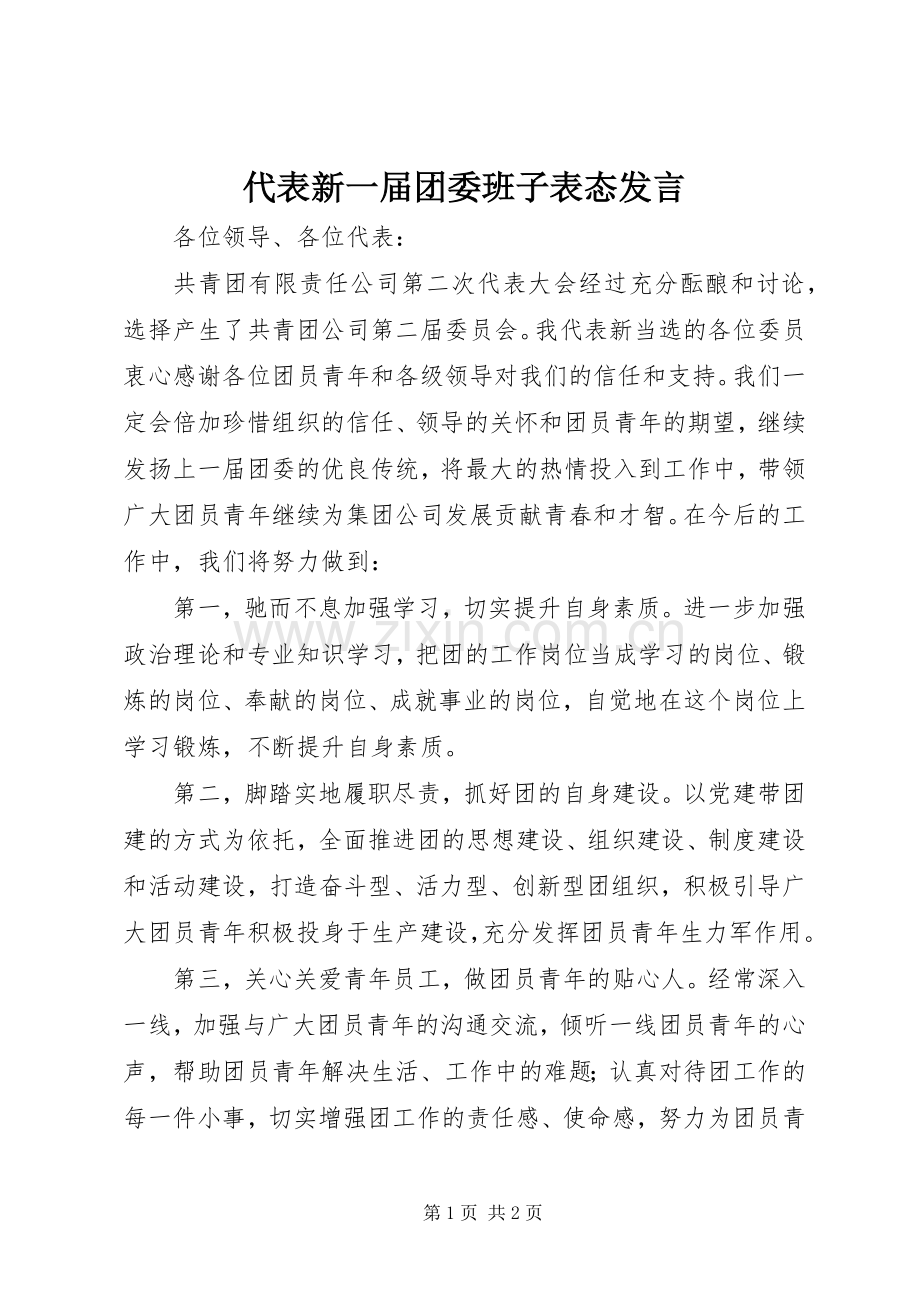 代表新一届团委班子表态发言稿.docx_第1页