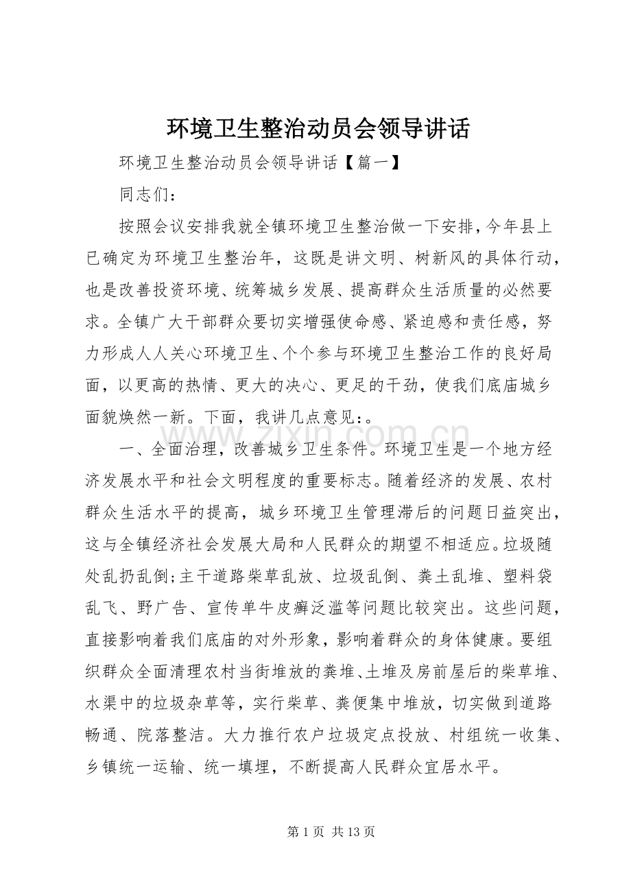 环境卫生整治动员会领导讲话.docx_第1页