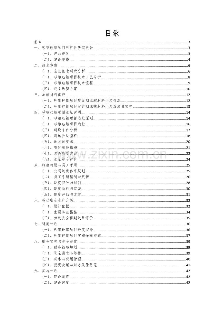 矽钢硅钢项目可行性分析报告.docx_第2页