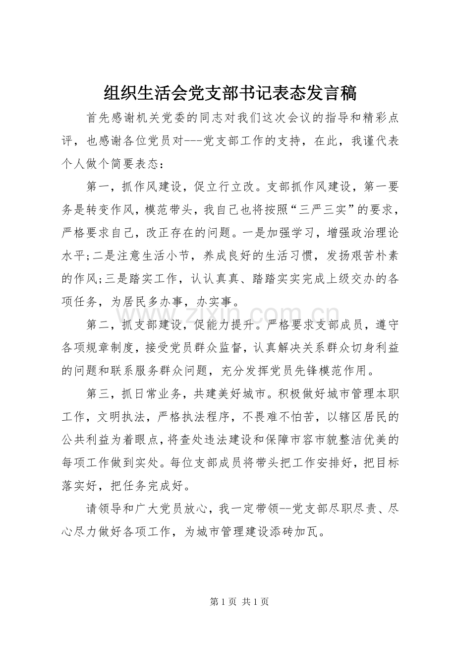 组织生活会党支部书记表态发言稿.docx_第1页