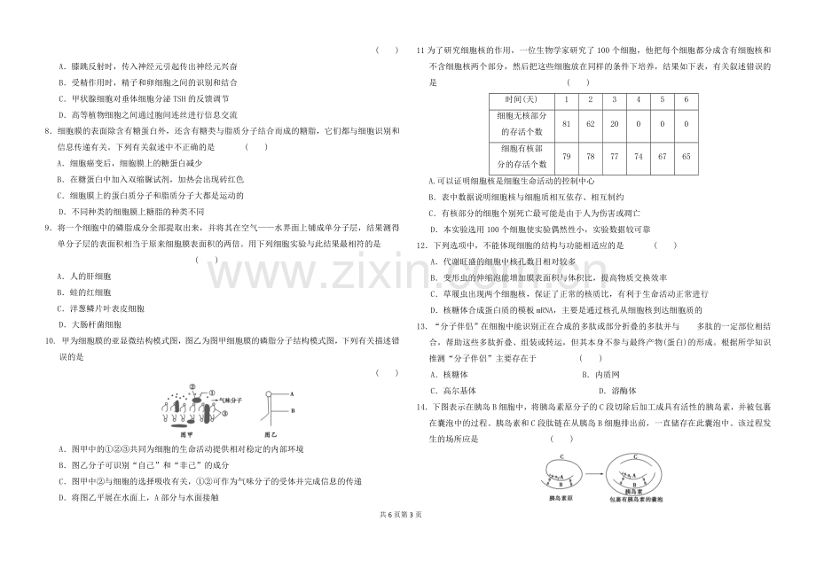 细胞的基本结构(刘勇翔).docx_第3页