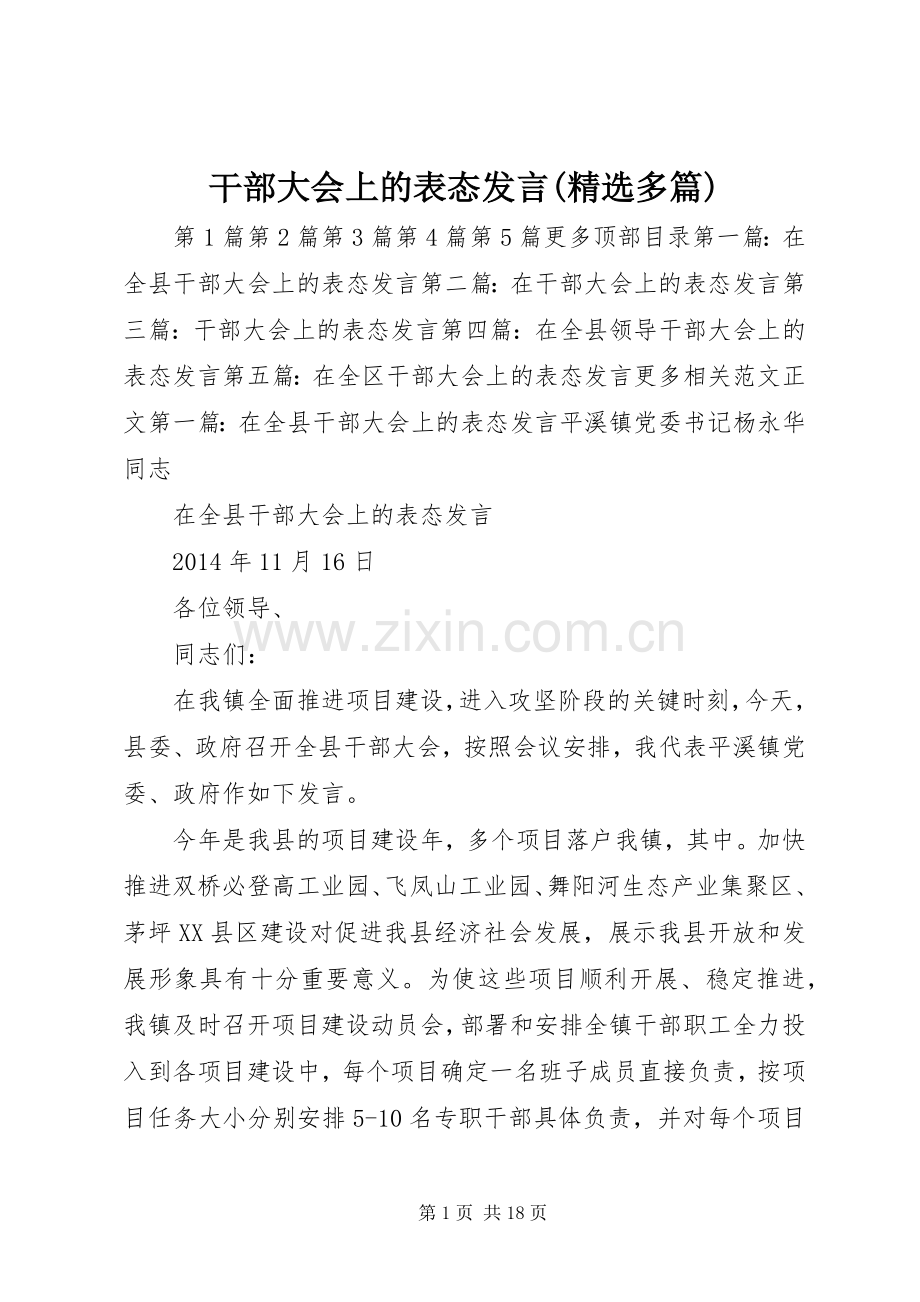 干部大会上的表态发言稿(多篇).docx_第1页