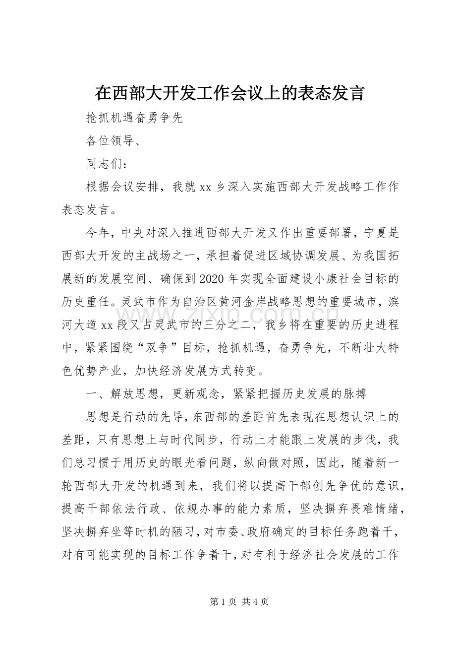 在西部大开发工作会议上的表态发言.docx_第1页