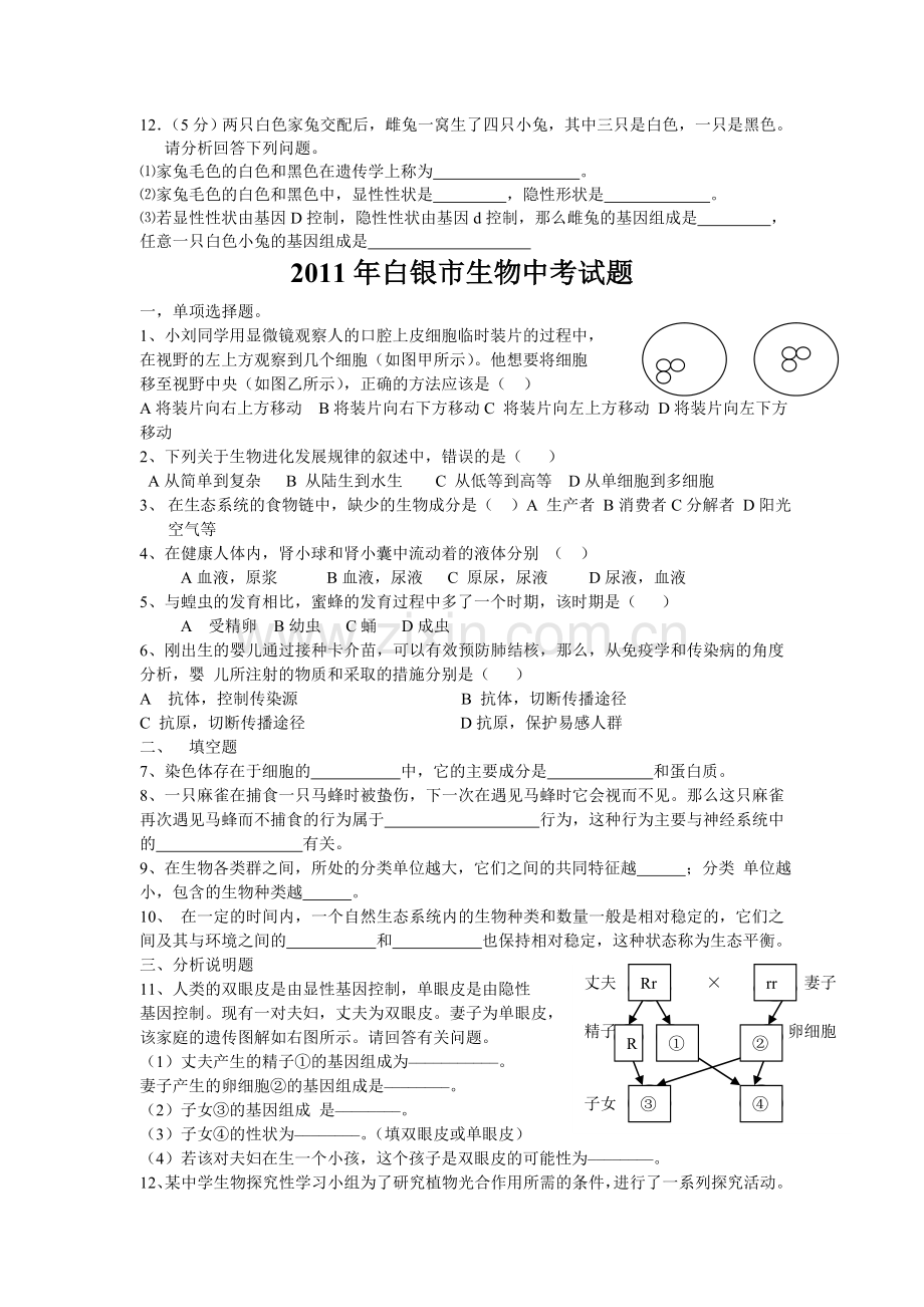 2010年白银市生物中考试题.doc_第2页