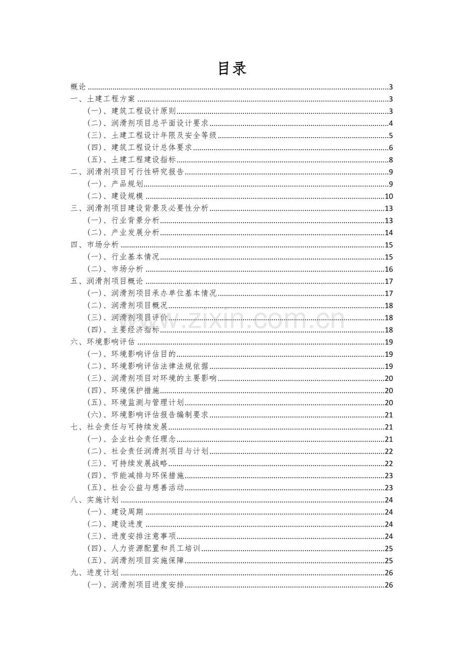 润滑剂项目可行性分析报告.docx_第2页