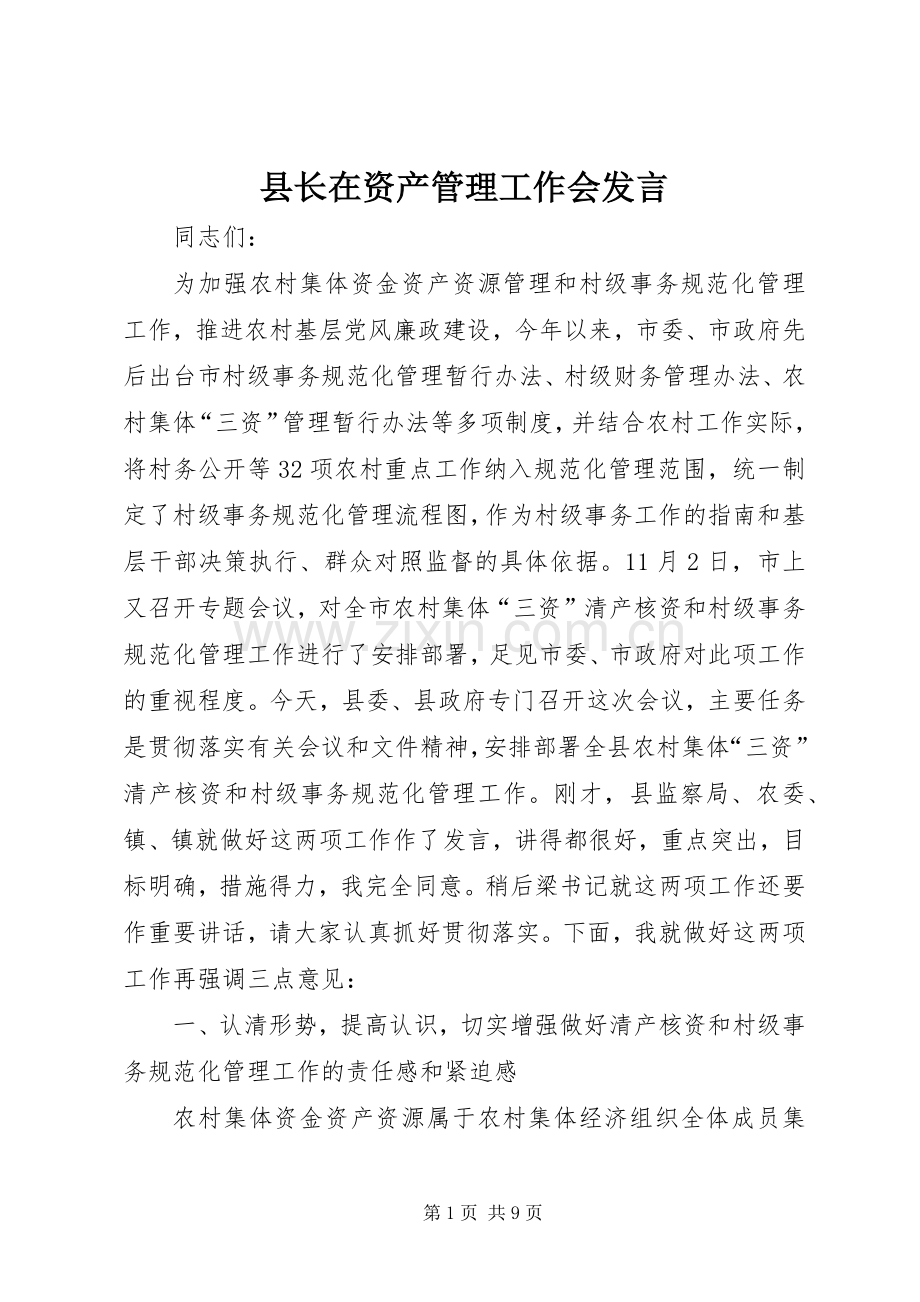 县长在资产管理工作会发言稿.docx_第1页