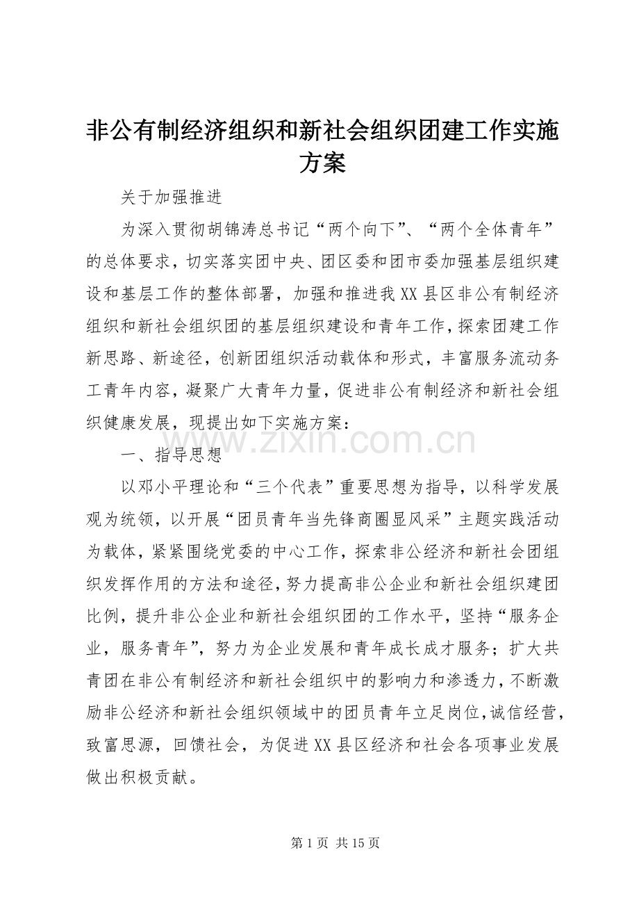 非公有制经济组织和新社会组织团建工作方案.docx_第1页